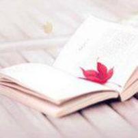 以我观书以书观我